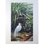 "Wetlands Protection" Limited Edition Print of 100