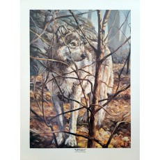 "Fall Sentry" - Limited Edition Print of 100